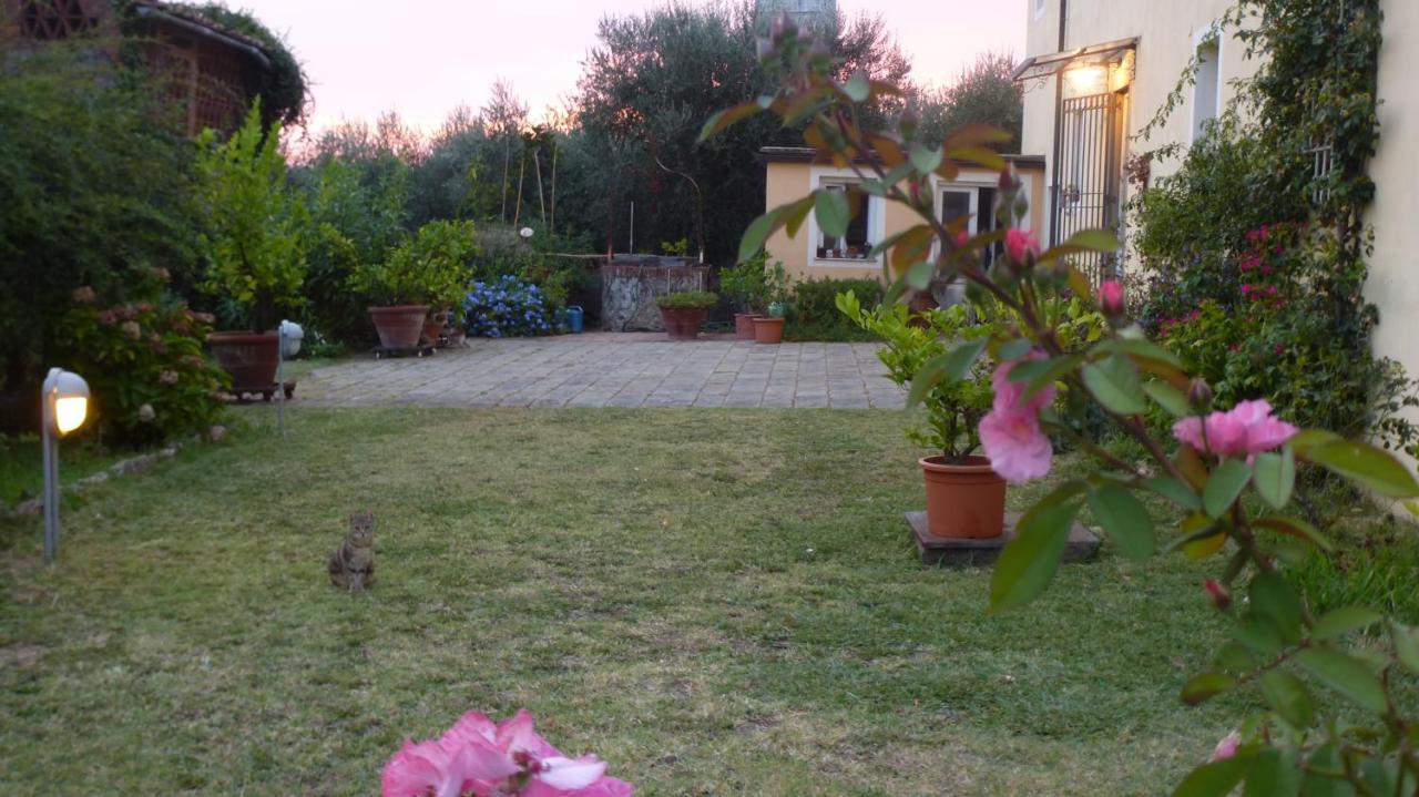 Casa Marce A "Sonno" Bed & Breakfast Porcari Exterior foto