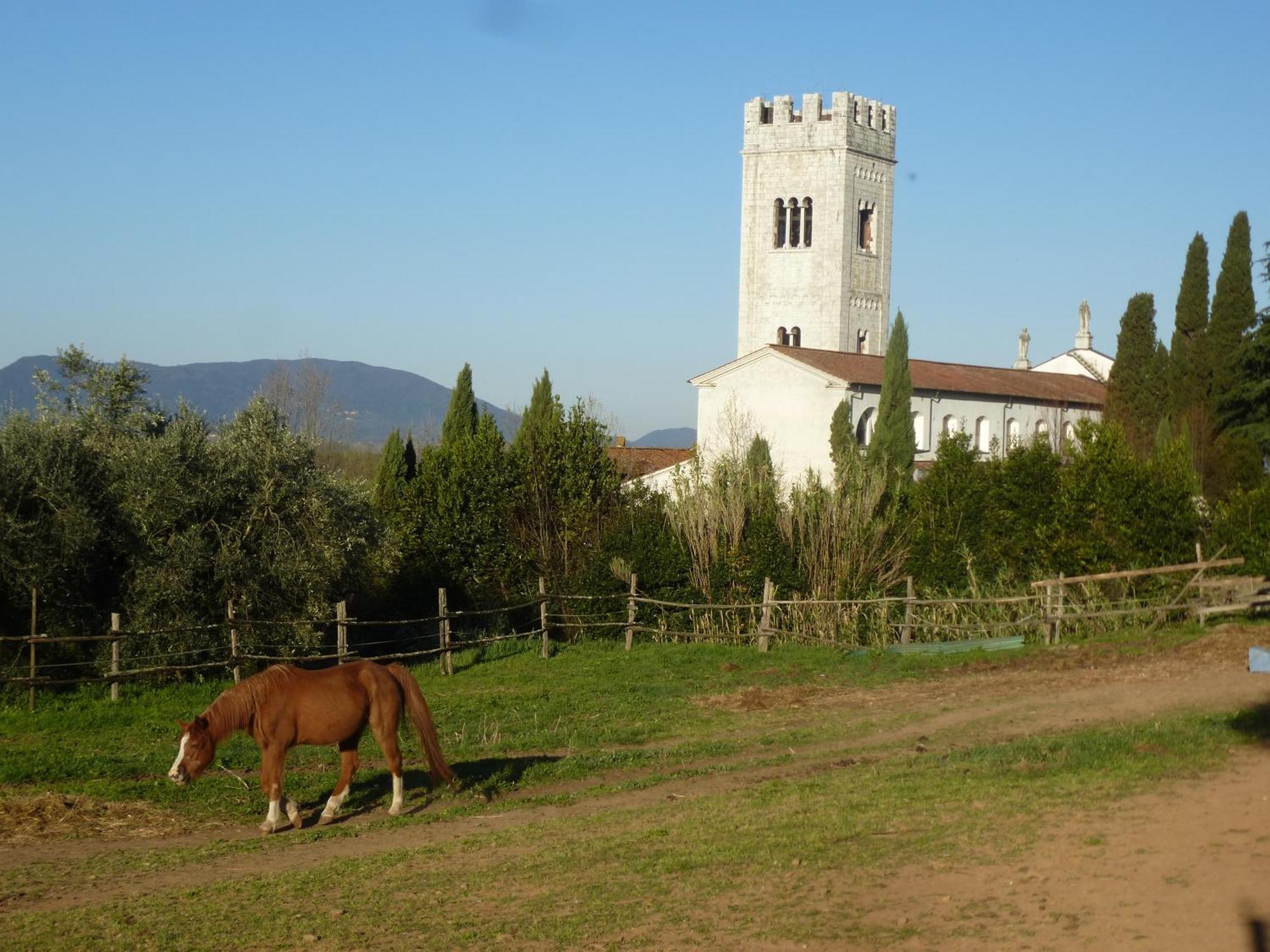 Casa Marce A "Sonno" Bed & Breakfast Porcari Exterior foto